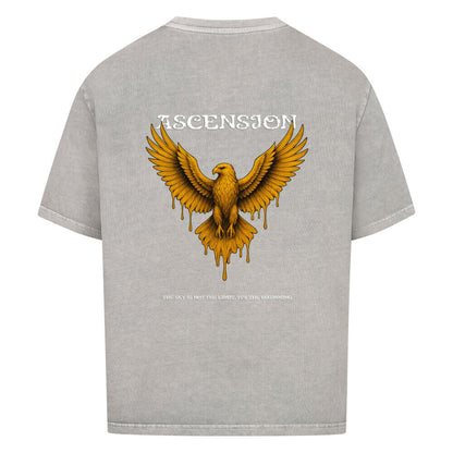 Image for color: washed grey